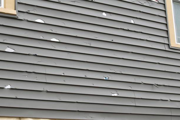 How To Choose The Right Materials for Your Siding Installation in 'Panora, IA