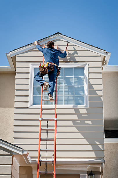 Best Fascia and Soffit Installation  in Panora, IA